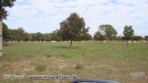 Fazenda em area de expansão urbana