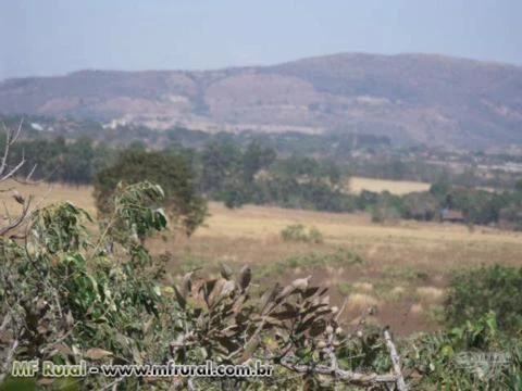 Fazenda em Campinorte