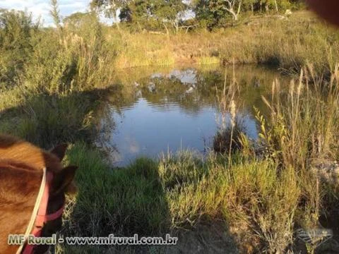 Excelente Fazenda com 500ha sendo 315ha formados, a 50KM de Cuiabá-MT