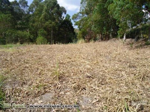 SÍTIO EM SÃO LUIZ DO PARAITINGA  SP