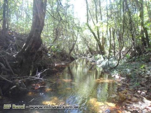 Chácara á 15 km de Pirenópolis