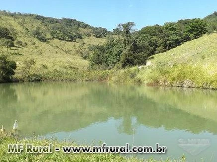 Fazenda Fonte das Águas - Itatiaiuçu - MG