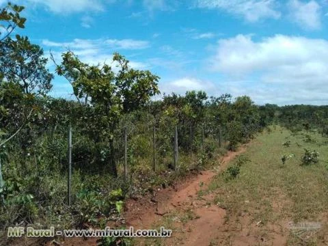 FAZENDA 750ha