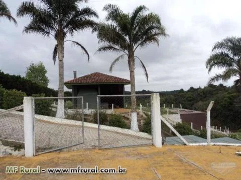 Chacara - Sitio - Contenda São Jose dos Pinhais Parana