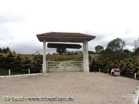 Chacara - Sitio - Contenda São Jose dos Pinhais Parana