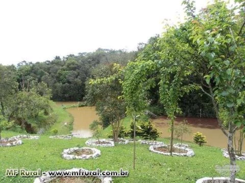Chacara - Sitio - Contenda São Jose dos Pinhais Parana