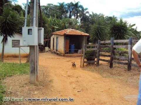 Chácara Morrinhos Goiás