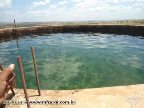 FAZENDA - VENDAS