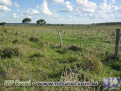 Fazenda em Cassilândia MS com 1.130,14 hectares