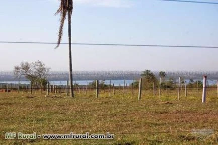 Fazenda a venda em Bataguassu, MS, com 319,44 hectares, rica em água