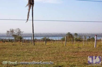 Fazenda a venda em Bataguassu, MS, com 319,44 hectares, rica em água