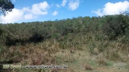 Fazenda em Ribeirão Branco (SP) com 1.945 alqueires, 4.707 hectares