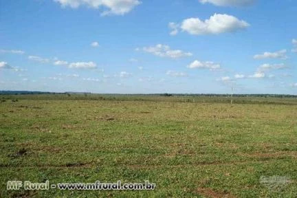 Fazenda em Nova Alvorada (MS) com 1.515 hectares – Ref. 708