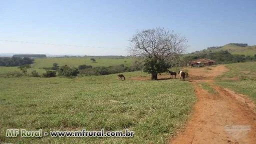 Fazenda em Itaporanga (SP), com aptidão para pecuária – Ref. 755