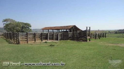 Fazenda em Itaporanga (SP), com aptidão para pecuária – Ref. 755