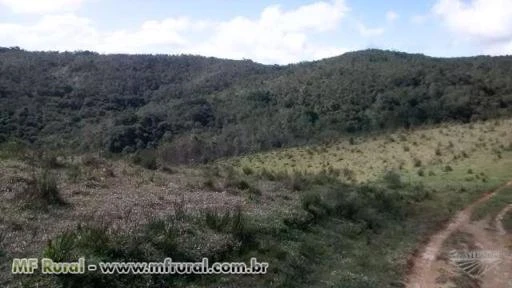 Fazenda em Ribeirão Branco (SP) com 4.707 hectares – Ref. 754