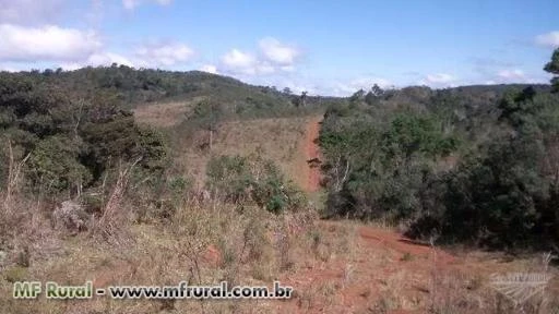 Fazenda em Ribeirão Branco (SP) com 4.707 hectares – Ref. 754