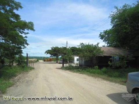 Indústria Extrativa (Pedreira) com 220 hectares em Corumbá (MS) – Ref. 752
