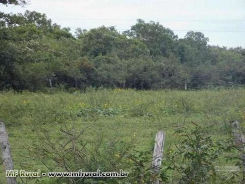 Fazenda em Corumbá (MS) com 2.590 hectares – Ref. 753