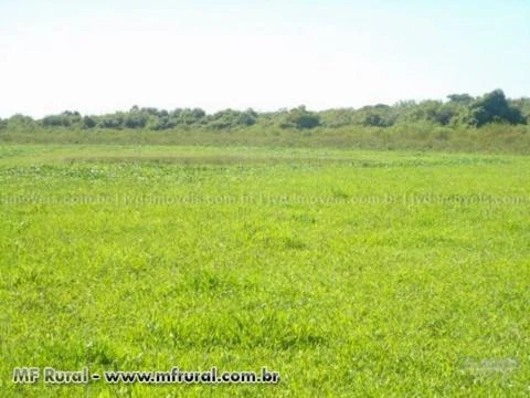 Fazenda em Corumbá (MS) com 1.546 hectares – Ref. 750