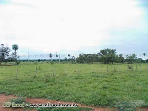 Fazenda em Corumbá (MS) com 538 hectares – Ref. 748