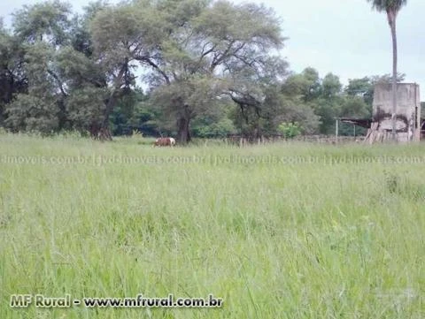 Fazenda em Corumbá (MS) com 538 hectares – Ref. 748