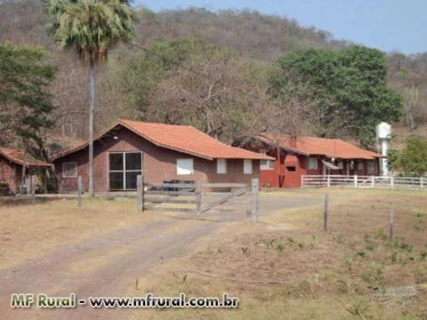 Fazenda em Corumbá (MS) com 6.937 hectares – Ref. 747