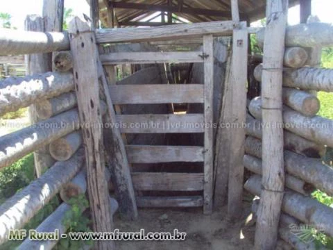 Fazenda com 15.213 hectares, Corumbá/MS – Ref. 746