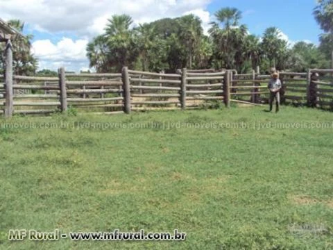 Fazenda com 15.213 hectares, Corumbá/MS – Ref. 746