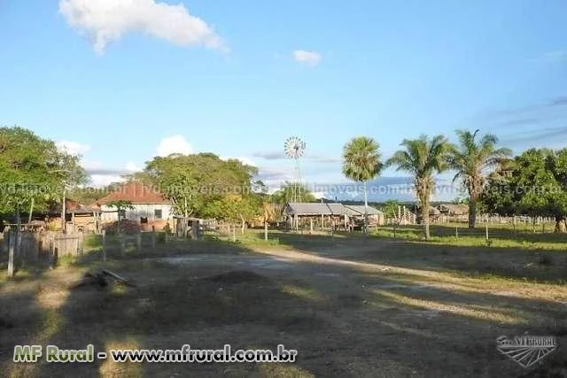 Fazenda em Corumbá (MS) com 11.200 hectares – Ref. 745