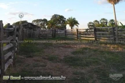 Fazenda em Corumbá (MS) com 11.200 hectares – Ref. 745