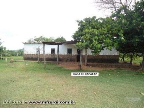 Fazenda com 7.350 hectares - Corumbá/MS – Ref. 744