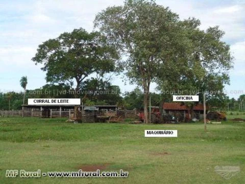 Fazenda com 7.350 hectares - Corumbá/MS – Ref. 744