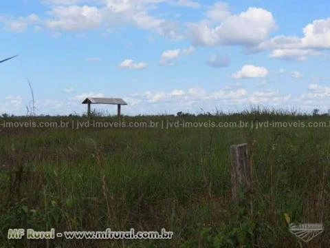 Fazenda com 3600 alqueirão - Paragominas/PA – Ref. 742