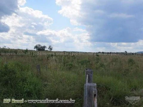 Fazenda com 3600 alqueirão - Paragominas/PA – Ref. 742