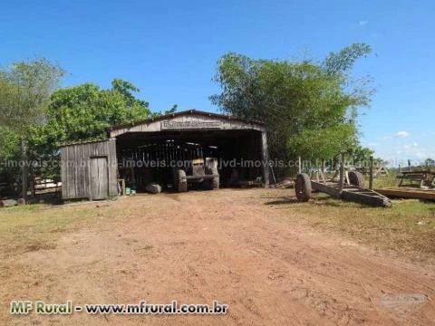 Fazenda com 3600 alqueirão - Paragominas/PA – Ref. 742