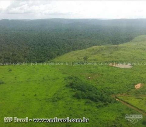 Fazenda com 10.000 alqueirão - São Felix do Xingu/PA – Ref. 740