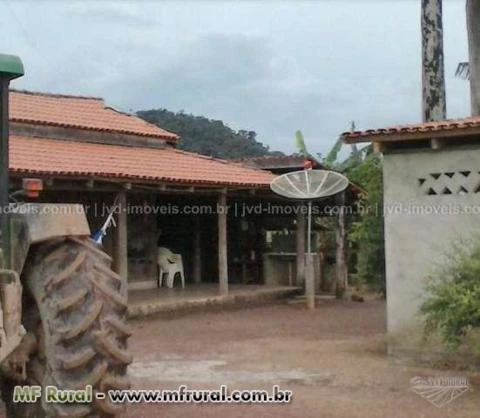 Fazenda com 10.000 alqueirão - São Felix do Xingu/PA – Ref. 740