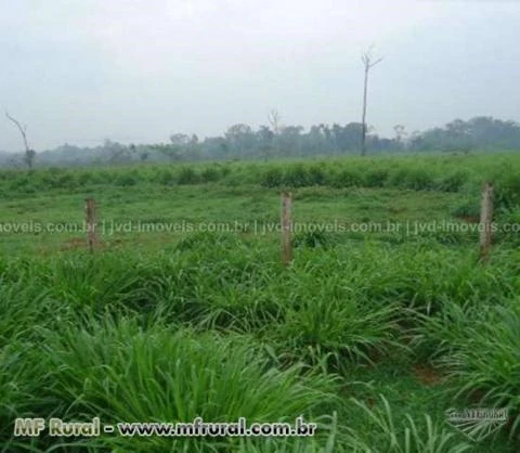 Fazenda com 10.000 alqueirão - São Felix do Xingu/PA – Ref. 740