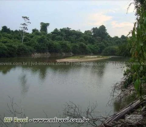 Fazenda com 10.000 alqueirão - São Felix do Xingu/PA – Ref. 740