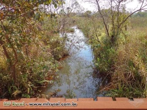 Fazenda com 980 hectares - Jaraguari/MS – Ref. 310