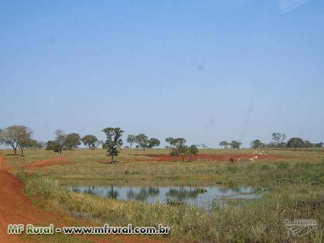 Fazenda a venda em MS, município de Bandeirantes, com 840 hectares – Ref. 309