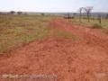 Fazenda a venda em MS, município de Bandeirantes, com 840 hectares – Ref. 309