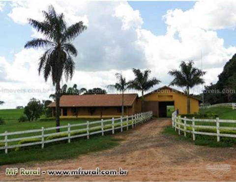 Fazenda com 1200 hectares - Bauru/SP - Ref. 736