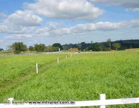 Fazenda com 1200 hectares - Bauru/SP - Ref. 736