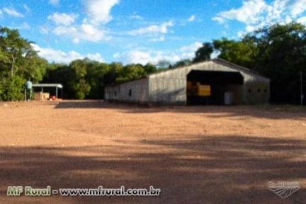 Fazenda com 3.350 hectares - Ribeirão Cascalheira/MT – Ref. 342