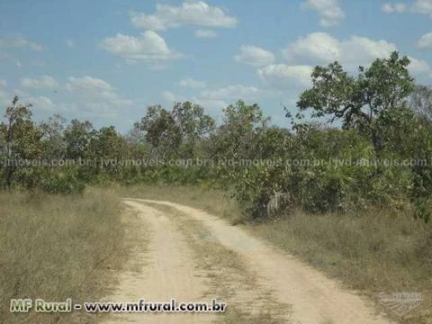 Fazenda com 8.857 hectares - Paranã/TO - Ref. 735