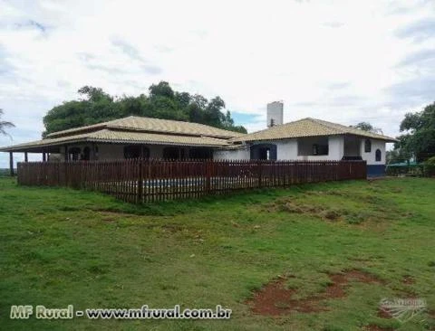 Fazenda com 13.555 hectares - Vila Rica/MT– Ref. 734