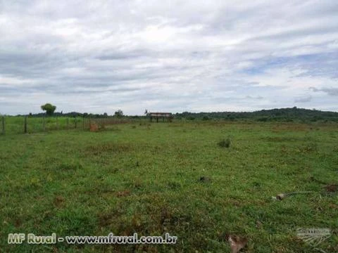 Fazenda com 13.555 hectares - Vila Rica/MT– Ref. 734