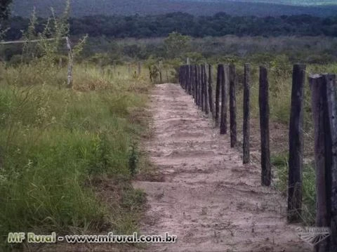 Fazenda com 3.117 hectares - Tangará da Serra/MT – Ref. 733